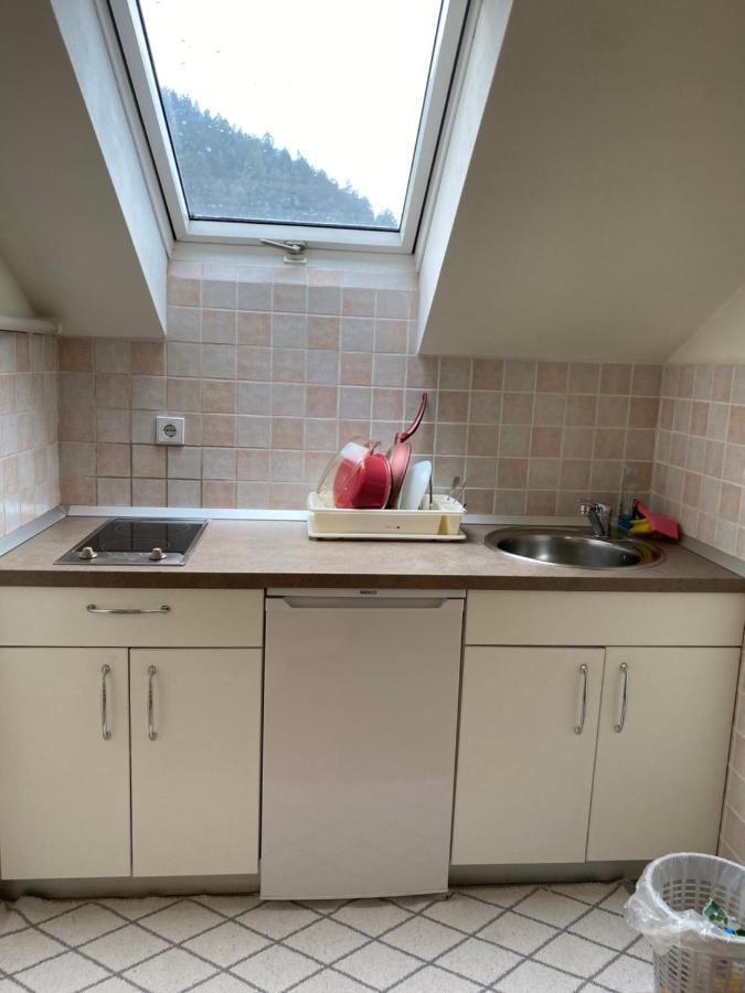 Apartma Regina Slovenj Gradec Extérieur photo
